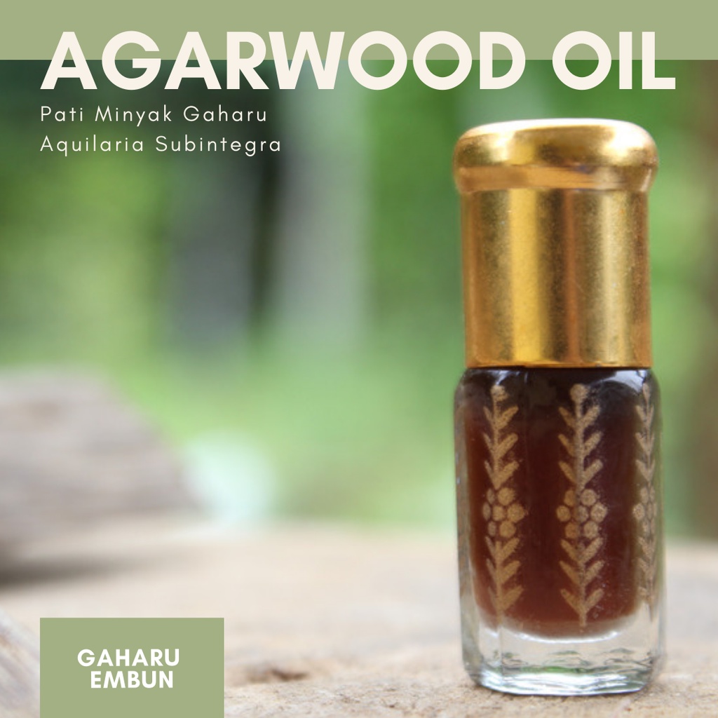 Buy Gaharu Embun Aquilaria Subintegra Oil Pati Minyak Gaharu Asli Seetracker Malaysia