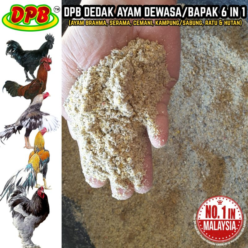 [5KG] DPB DEDAK AYAM DEWASA 6 IN 1 (Campuran Dedak Goldcoin, Bijian dan  Vitamin)