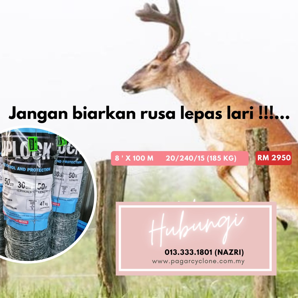 Buy Pagar Rusa Griplock 8 Kaki Australia Seetracker Malaysia