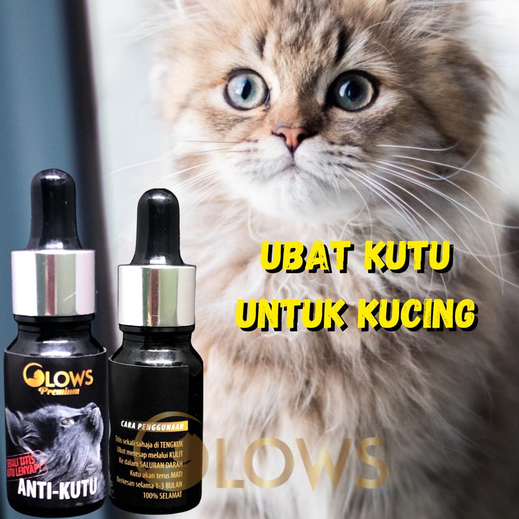 Ubat Kutu For Pets Kucing Shopee Malaysia