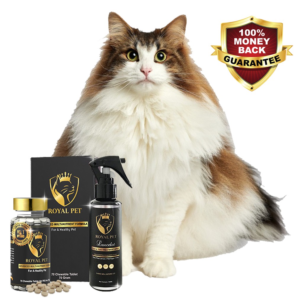 Cat kg. ПЭТ Ройял. Royal Pet. Ста петс.