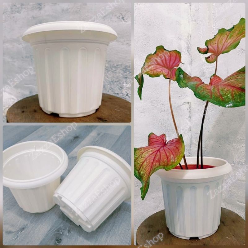  Pasu putih  bulat Indoor Outdoor Round Shapes Flower Pot 