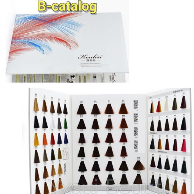 Professional Hair Salon Colour Cream catalog /Hair color card /dye hair
