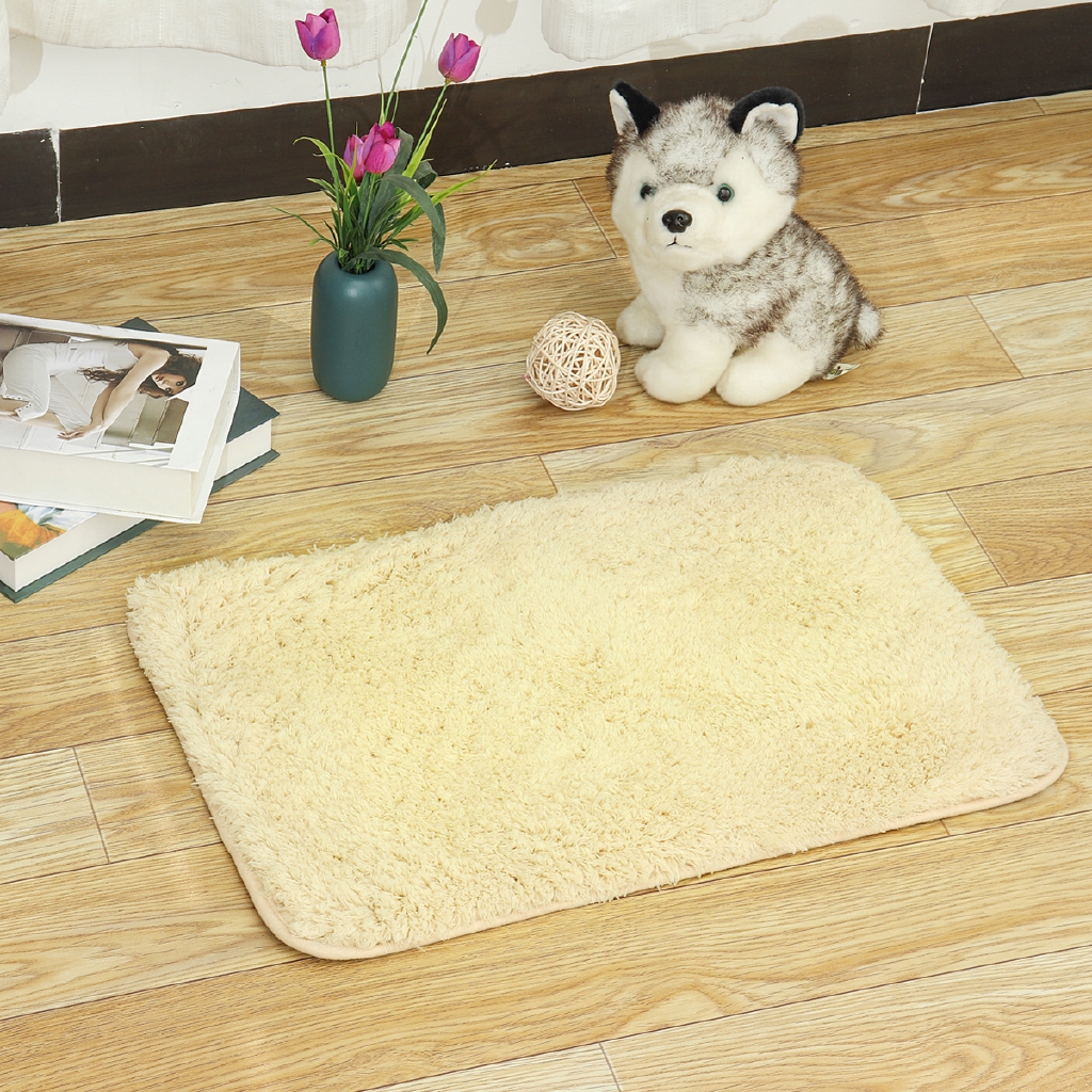 40 60 Cm Carpet Kitchen Bathroom Non Slip Area Rug Door Indoor Floor Mat Decor Shopee Malaysia