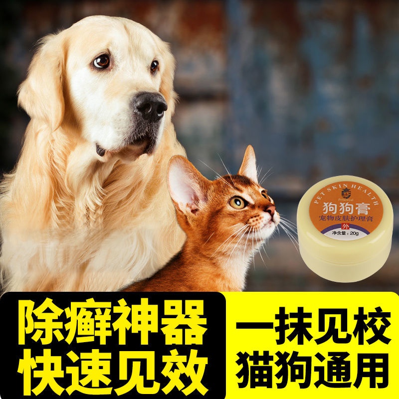 not-afraid-of-licking-dog-skin-disease-external-ointment-eczema