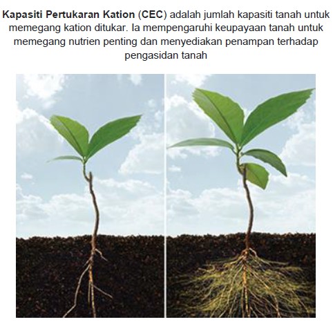 Cara Menguji Sendiri Kealkalian Dan Keasidan Tanah Wikicara