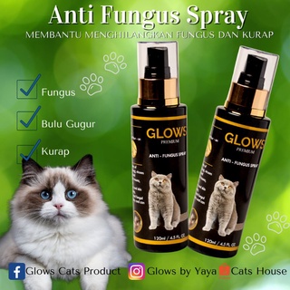 Spray Fungus Glows Premium Fungus Dan Kurap