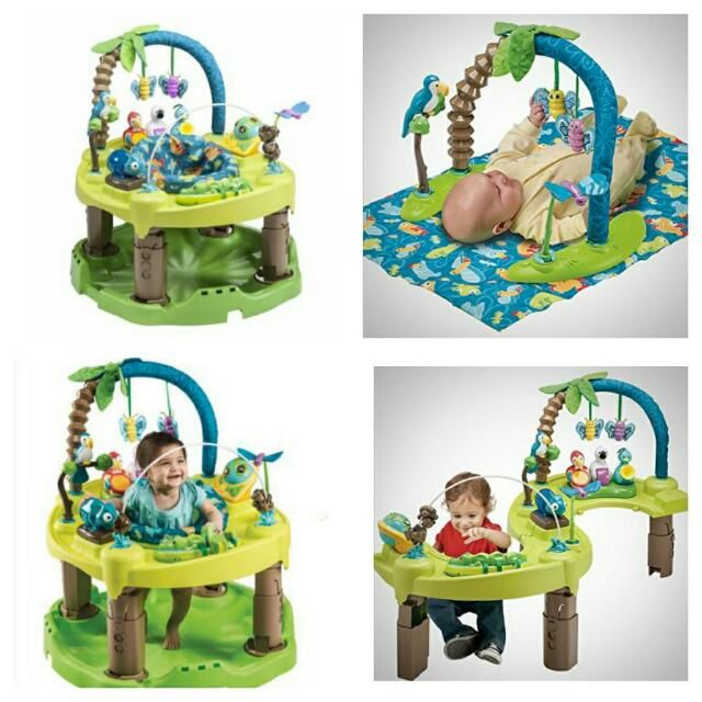 life in the amazon exersaucer