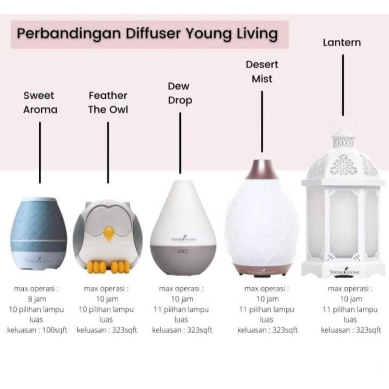 READY STOCK - ORIGINAL by YOUNG LIVING ( LANTERN DIFFUSER / DESERT MIST ...