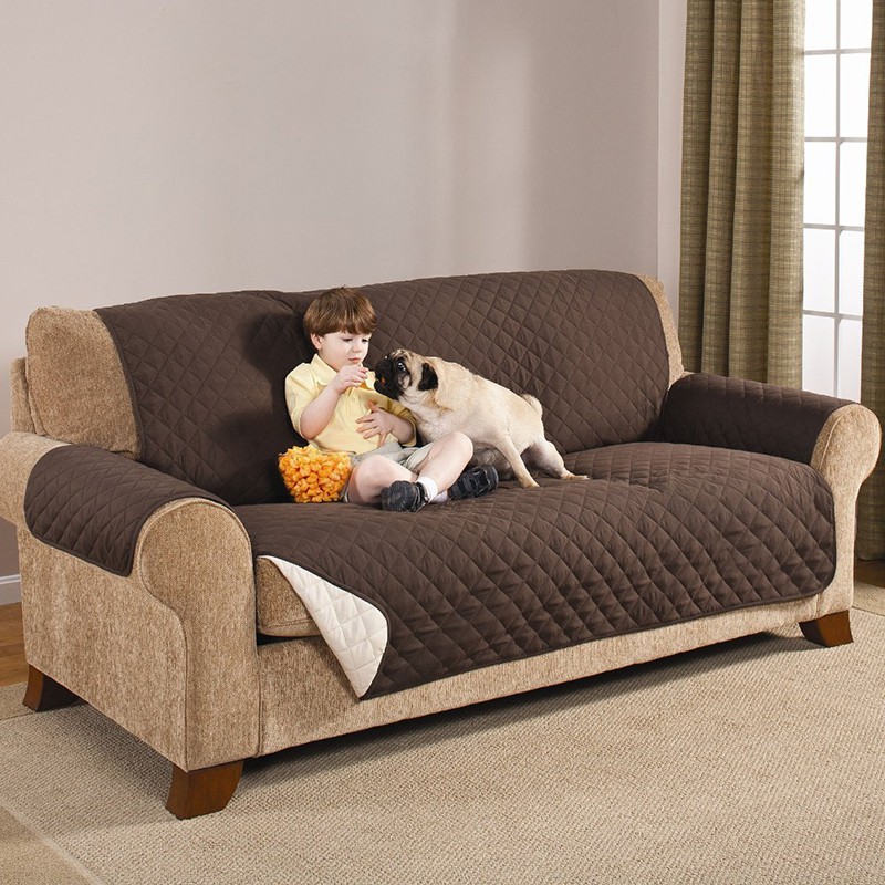 dog sofa seat