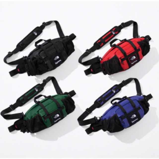 supreme the north face leather mountain waist bag