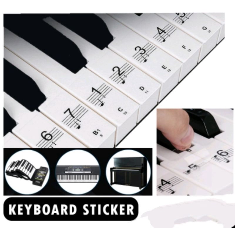 Keyboard Sticker Piano Sticker Keyboard Piano Sticker Beginner Piano ...