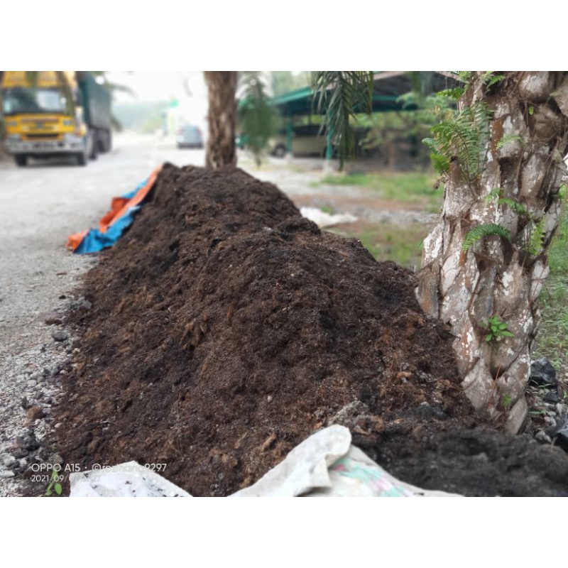Tanah hitam sawit / Palm oil boiler ash (per/kg)ready stock