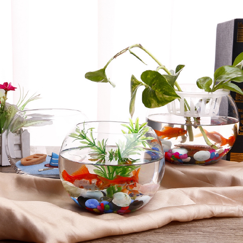 Round For Betta Fish Home Decoration Pet Supplies Pet Products