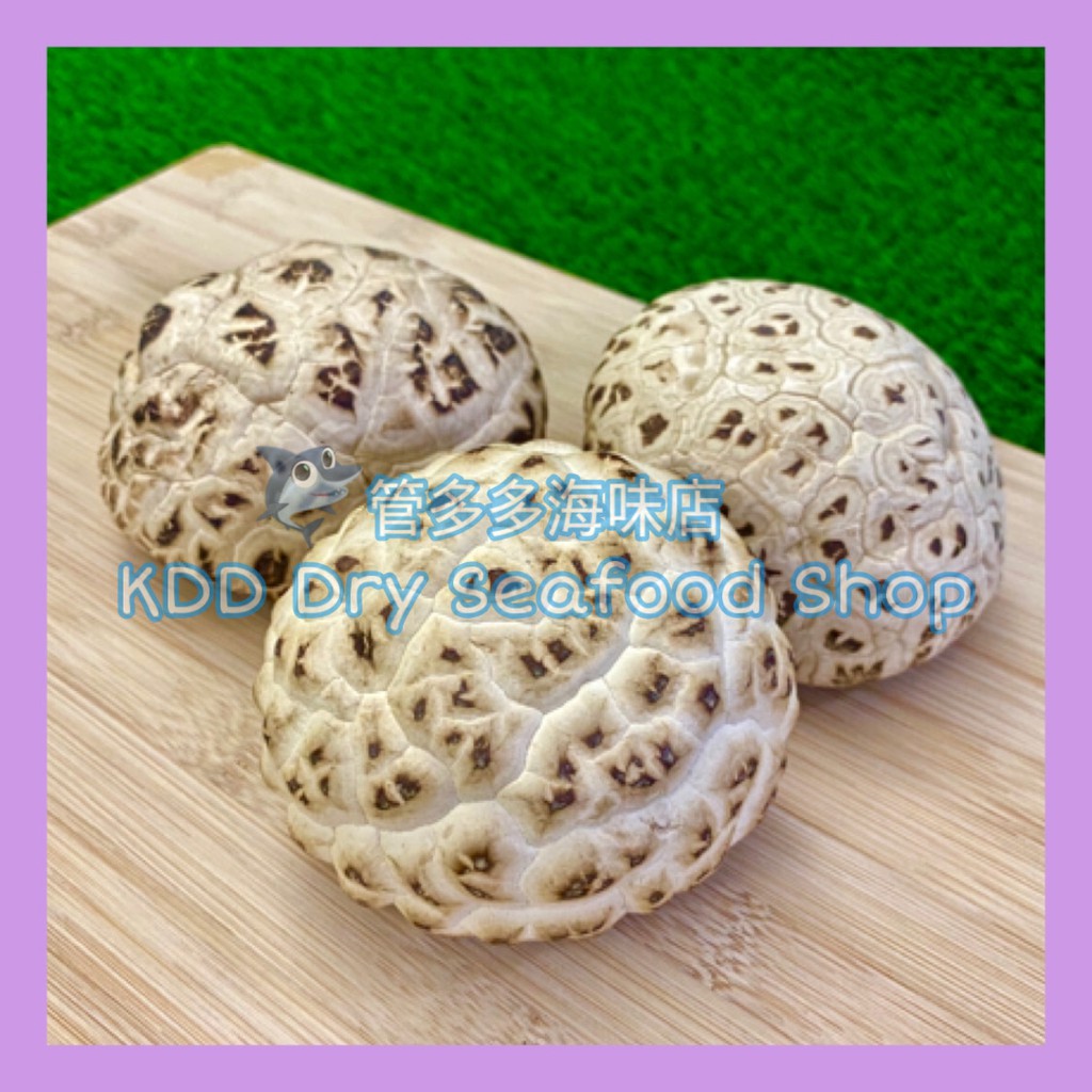 8cm 10cm 巨大白花菇premium Shittake Dried Mushroom