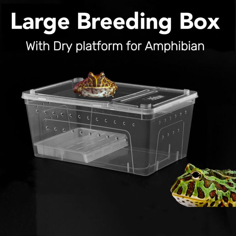 Reptile Breeding Box L/XL Dry Platform Turtle Pacman frog tank dry wet ...