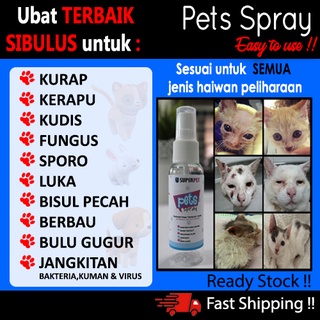 beli 3 percuma 1 spray kurap kucing ubat luka sporo fungus telinga bulu