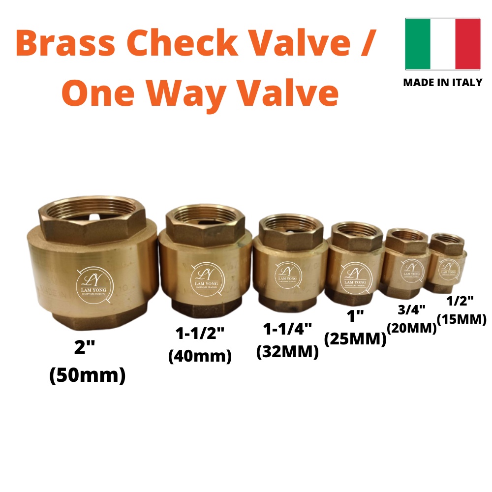 YORK Heavy Duty Brass Check Valve Spring /1 way Valve /one way Valve ...