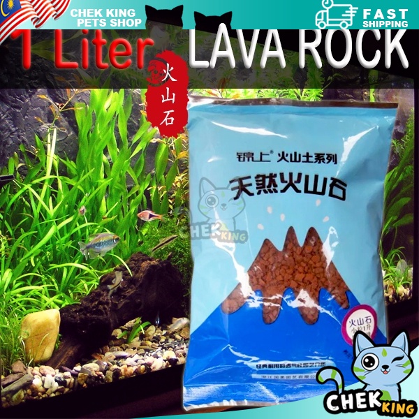 1 LITRE RED LAVA ROCK SOIL FOR CACTUS SUCCULENT PLANTS TANAH 火山石