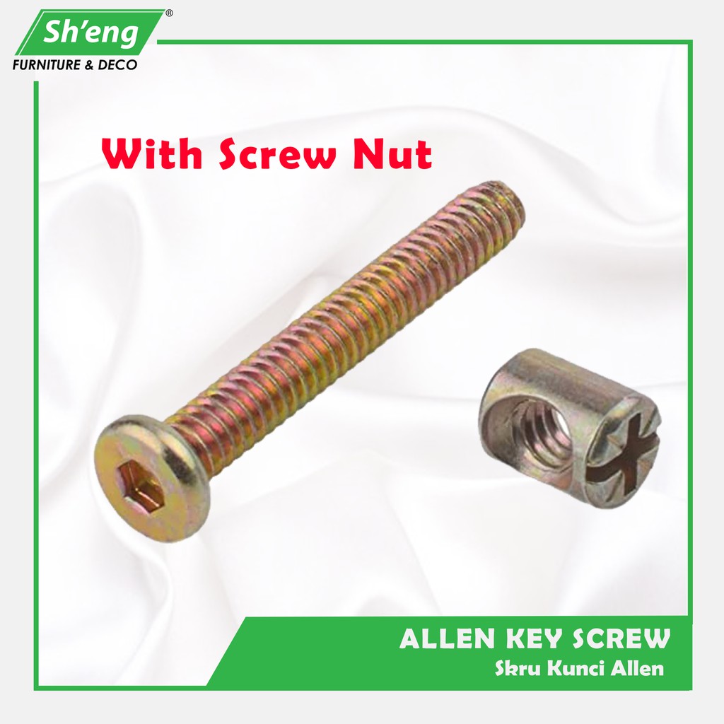 [4 PCS ] Allen Key Screw with Screw Nut Furniture Screw Bolt & Nut