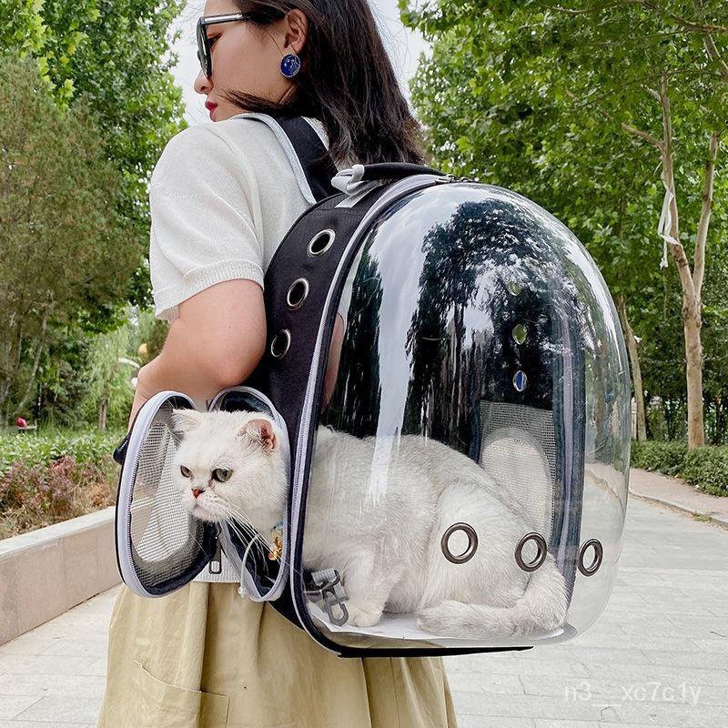 bag for cats