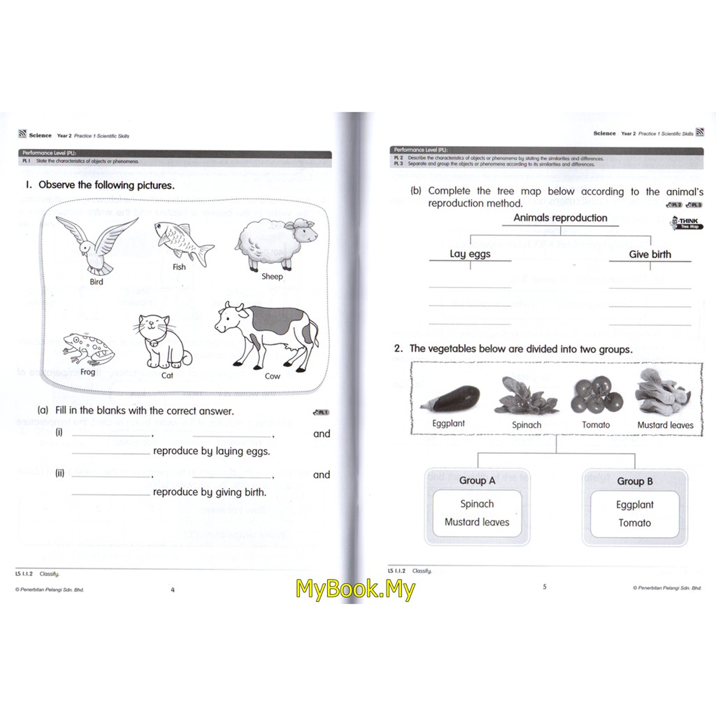 science year 2 dlp oespamb