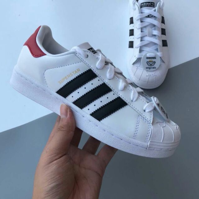 adidas superstar bear