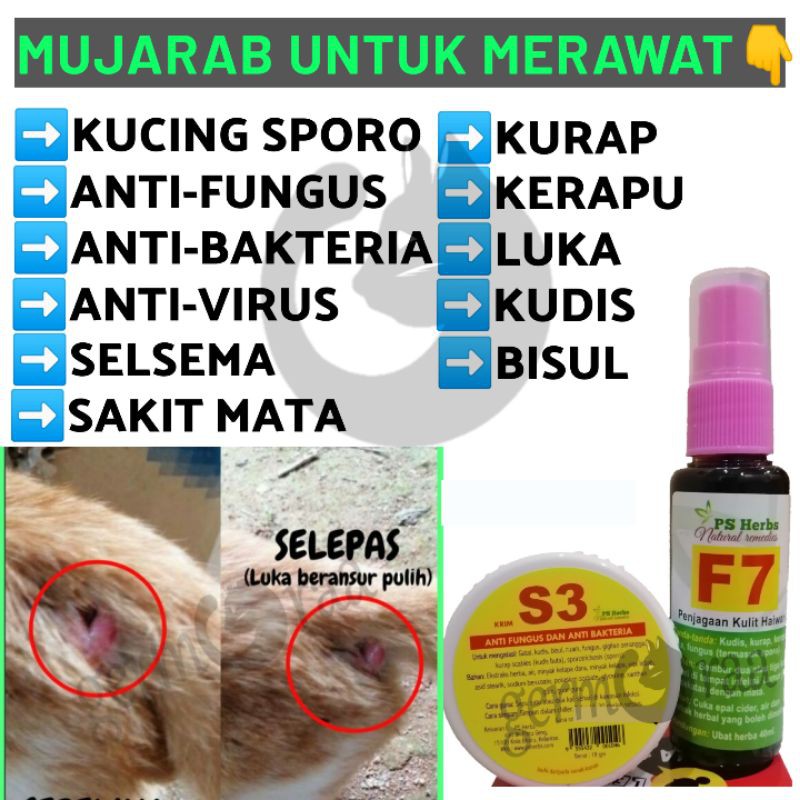 Set Sporo Kucing Luka Berair Bisul Nanah Kurap Krim S3 Spray F7 Ubat
