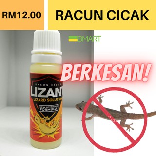 Lizant Ubat Cicak Power