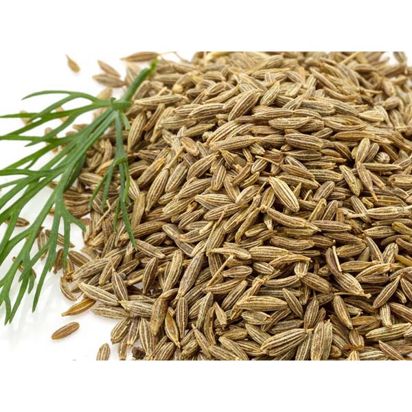 Seed in malay cumin Top 10