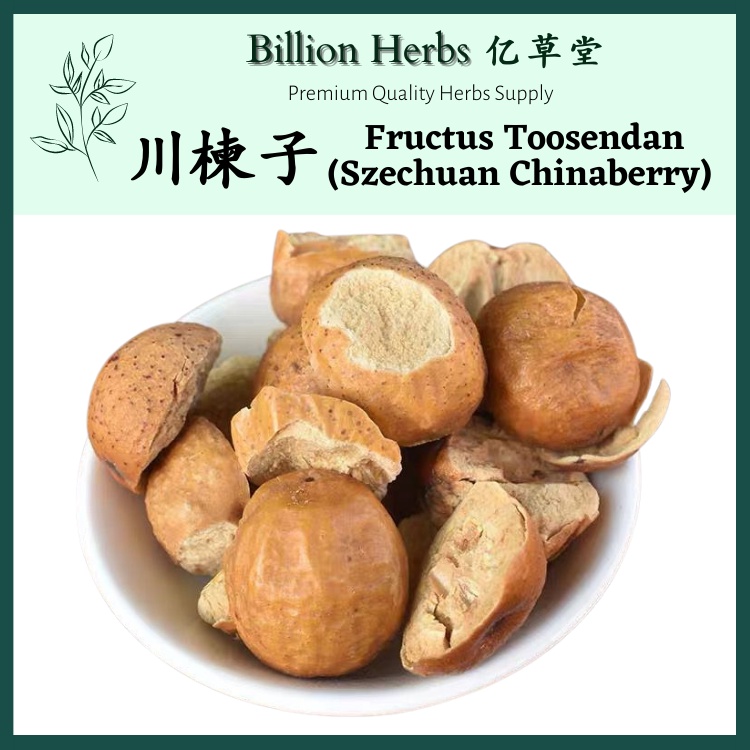 亿草堂  川楝子  100g   Szechwan Chinaberry Fruit / 中药材 Chinese Herbs / 中药 中草药 草药 药材