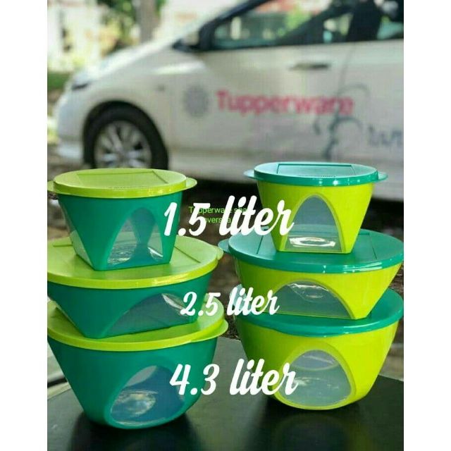 Tupperware Raya Level Set Emerald Dining Bowl