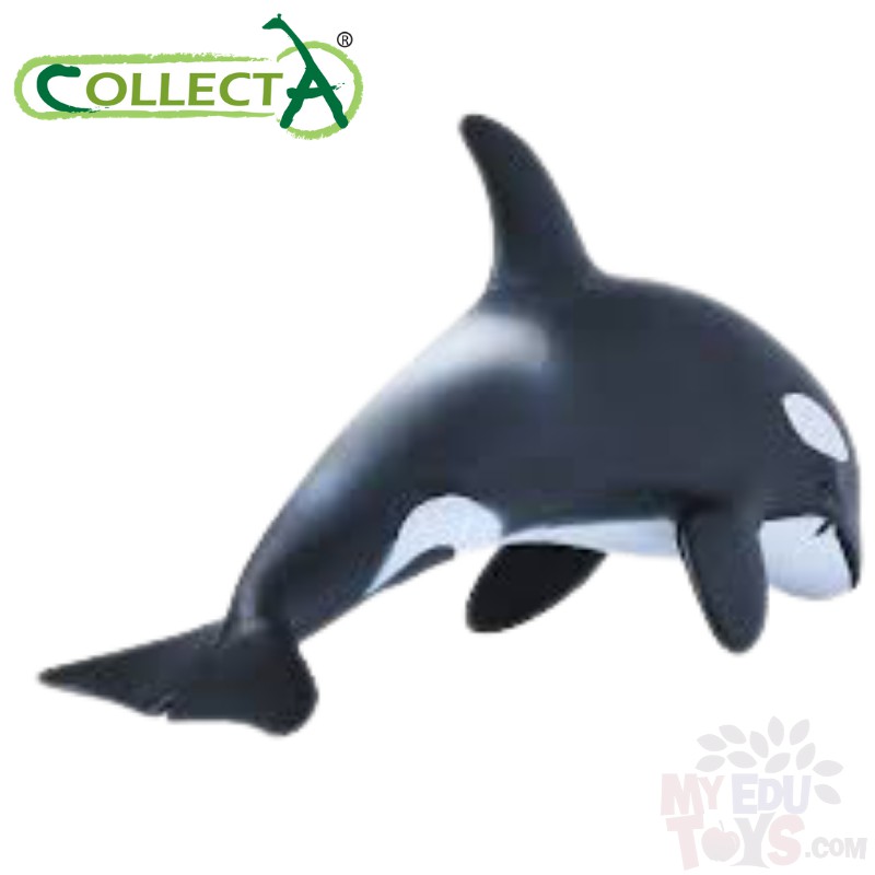 Collecta Orca Calf 