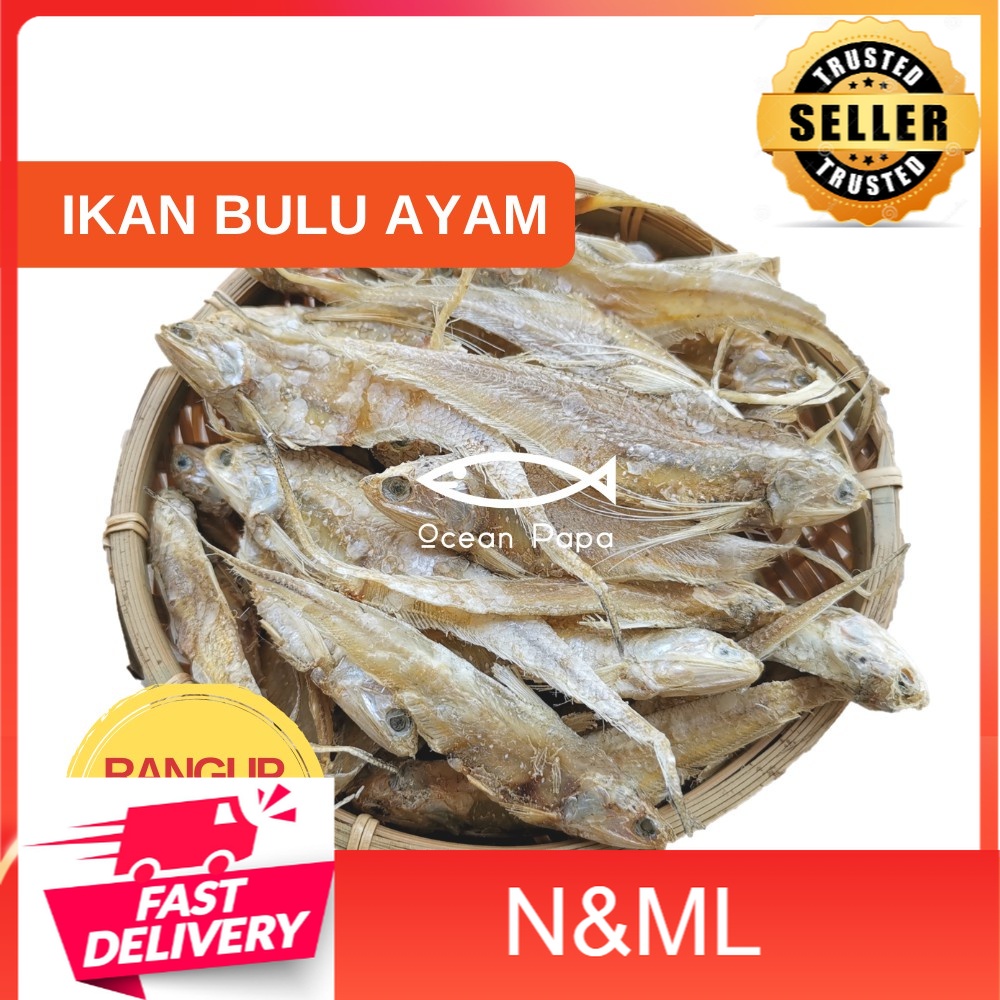 Ikan Masin Bulu Ayam / Coilia mystus Salted Fish Gred A (250g) | Shopee ...