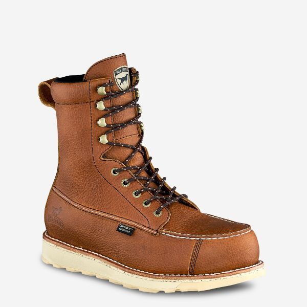 wingshooter st irish setter