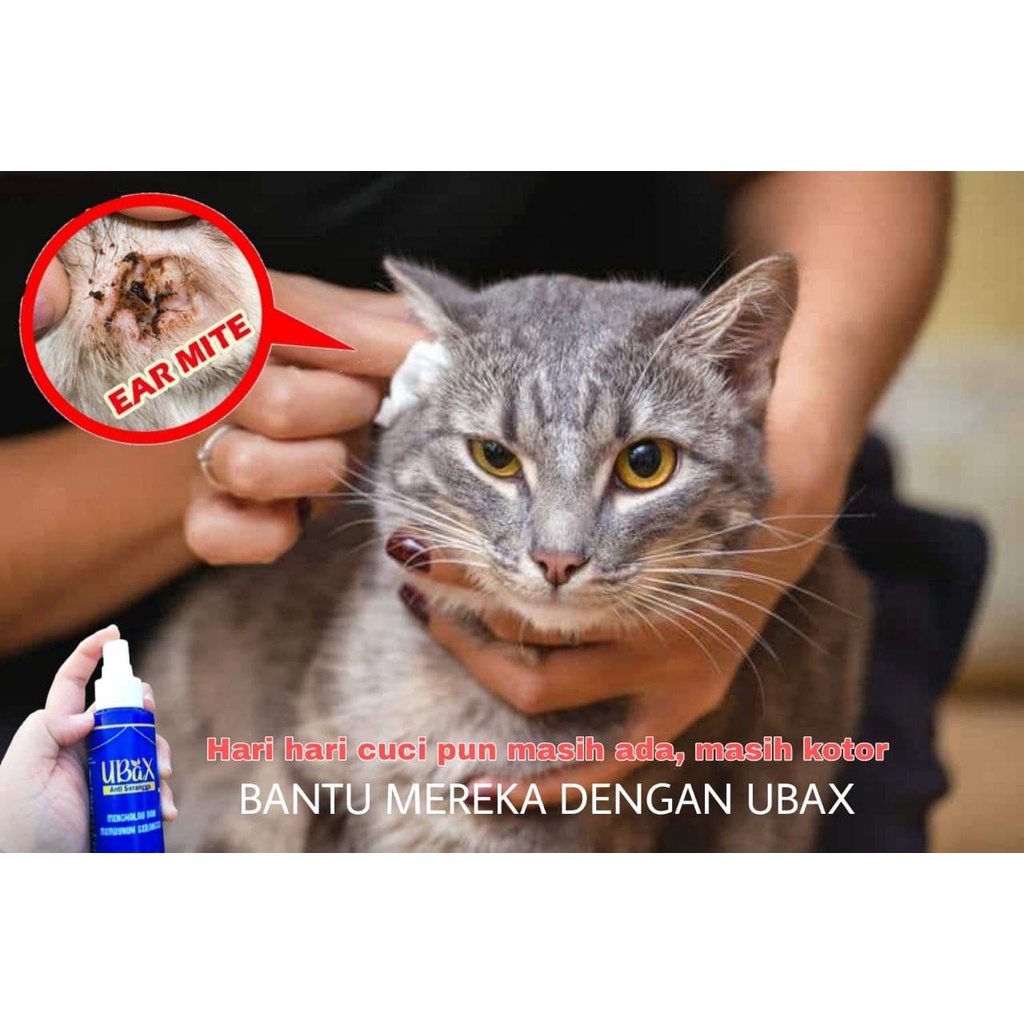 Spray Kucing Ubax Spray Kutu Ubat Kucing Kurap Luka Hama Pet Spray 100ml Shopee Malaysia