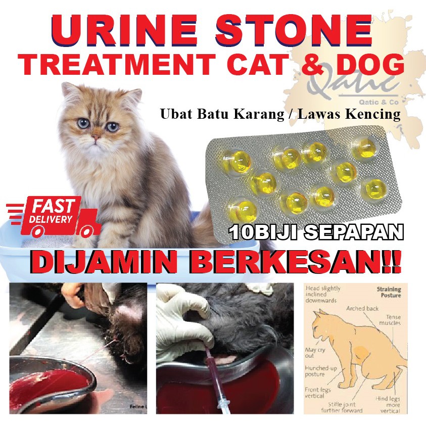 Ubat Batu Karang kucing / Urine Stone / Lawas Kencing  10 Biji