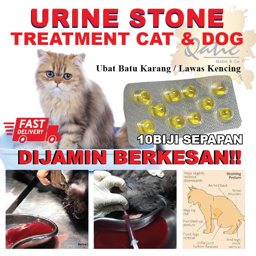 Ubat Batu Karang kucing / Urine Stone / Lawas Kencing - 10 Biji 