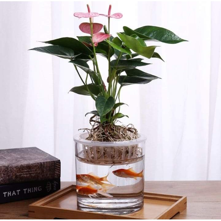 Visual Soul Healing Flower Pot Fish Tank (Preorder) Shopee Malaysia