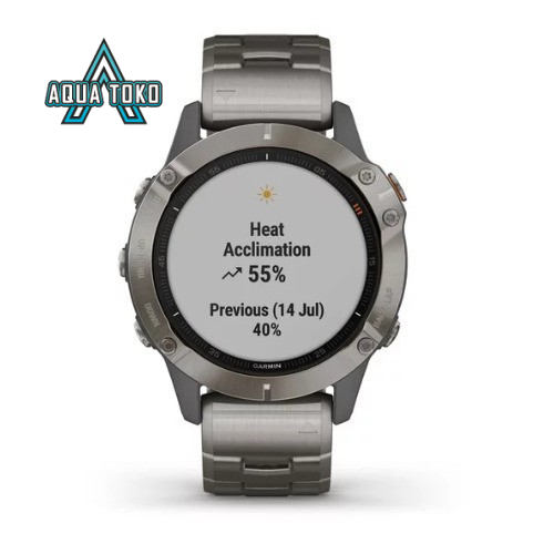 garmin fenix 6 sapphire titanium best price