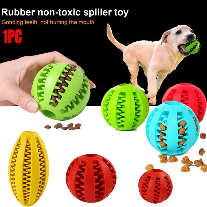 Why Do Dogs Chew Balls