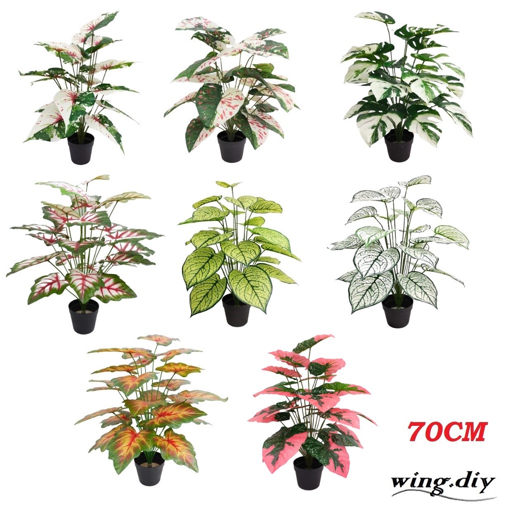 [READY STOCK] 70CM ARTIFICIAL PLANT/ CALADIUM TREE/ VARIEGATED