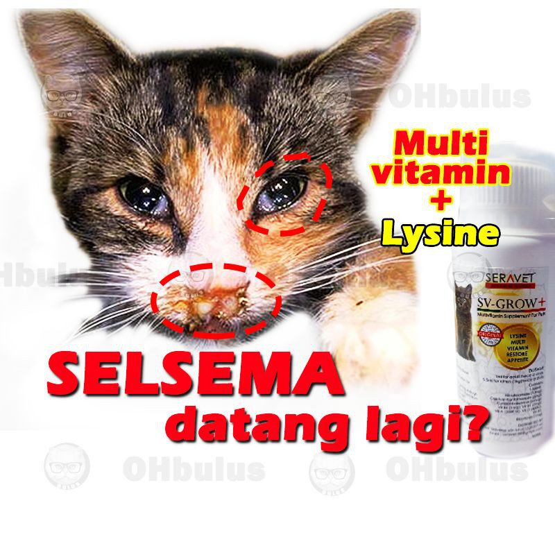 Repeat Flu in Cats  Multivitamin with Lysine 60ml