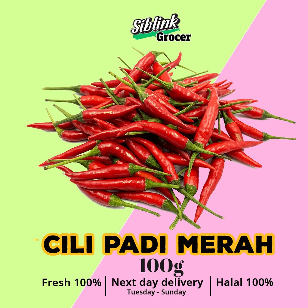 Harga cili padi sekilo 2021