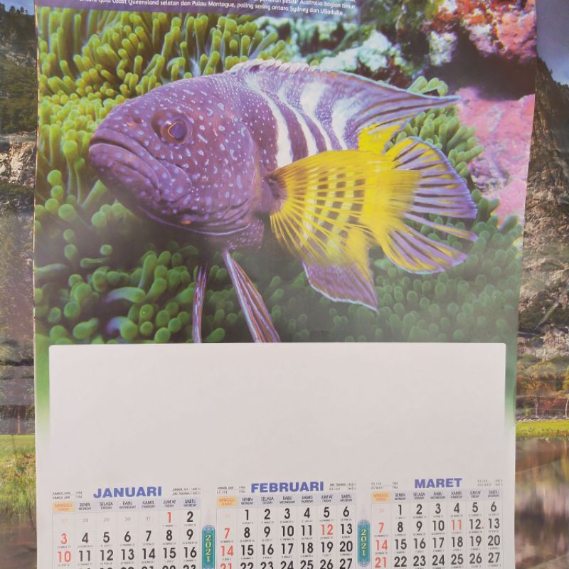 2021 Yearly Calendar Wall Calendar Fish Pattern | Shopee Malaysia