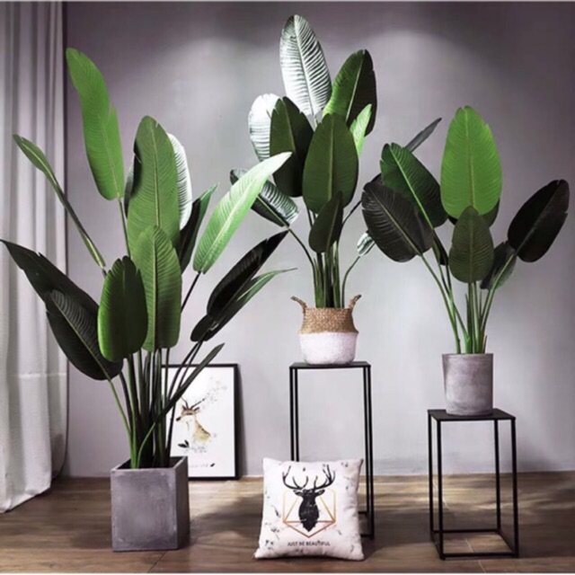  COD PROMO Banana Tree Leaf Articifical Traveller Banana 