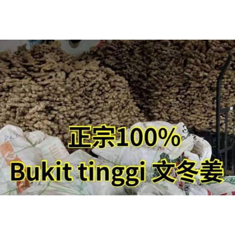 新鲜文冬姜 Bentong Ginger a Shopee Malaysia