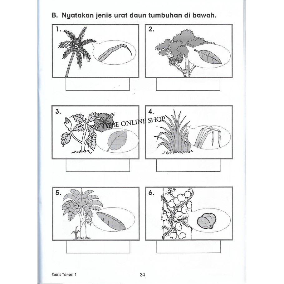 Sains Tahun 1 Tumbuhan / Sains Tahun 1 Sk Flip Ebook Pages 51 100