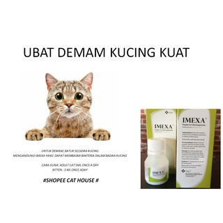 UBAT Kucing demam dan flu.  Shopee Malaysia