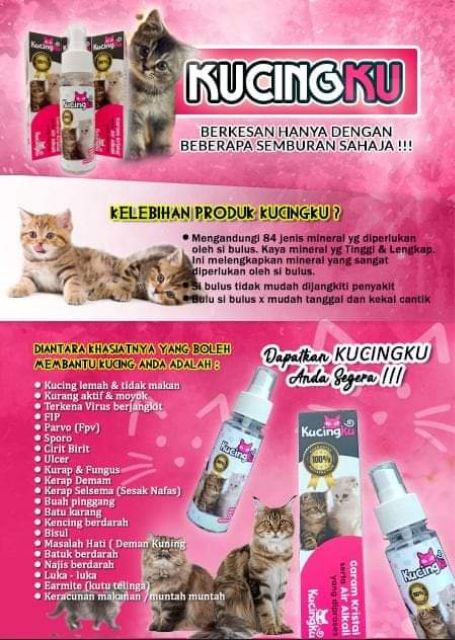 KUCINGKU SPRAY MERAWAT MASALAH KUCING  Shopee Malaysia